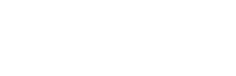 Logo Aran